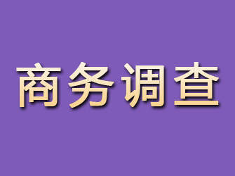 金口河商务调查